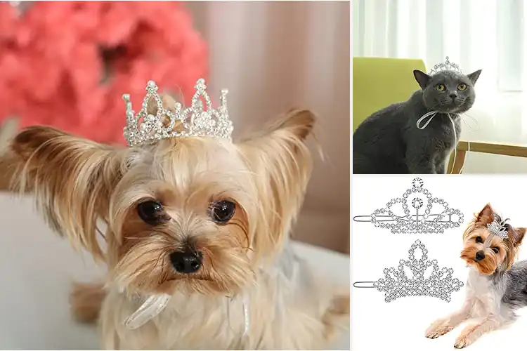 Detailed view of Best Pet Rhinestone Crowns: 10 Dazzling Picks for Royal Pets