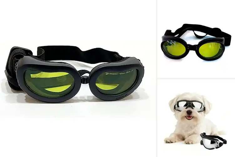 Detailed view of Best Pet Safety Goggles