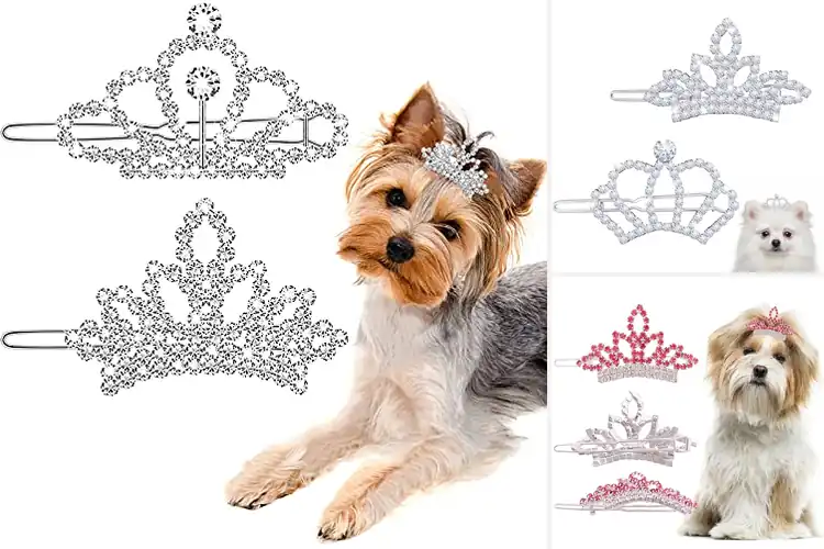 Detailed view of Best Pet Tiara Clip Size Guide
