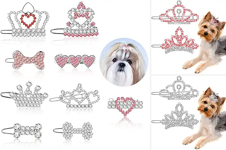 Detailed view of Best Pet Tiara Hair Clips