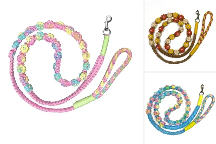 Detailed view of Best Photogenic Pet Accessories