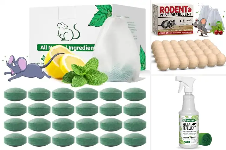 Detailed view of Best Rat Repellents
