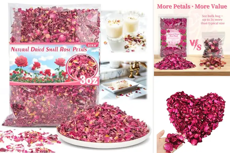 Detailed view of Best Real Rose Petals For Crafting