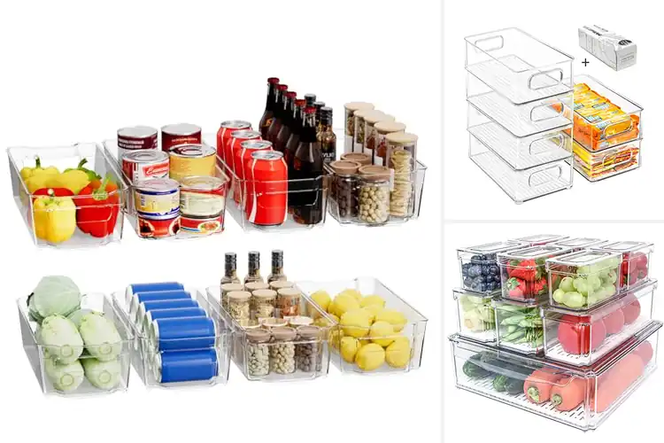 Detailed view of Best Refrigerator Organizers