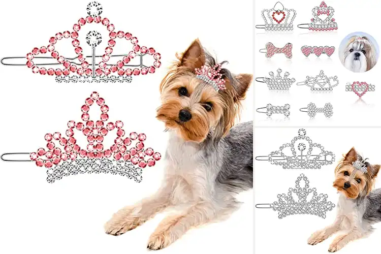 Detailed view of Best Rhinestone Pet Hair Clips For Grooming