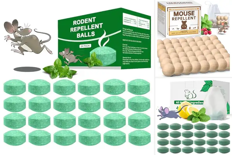 Detailed view of Best Rodent Repellents: 10 Safe & Natural Fixes