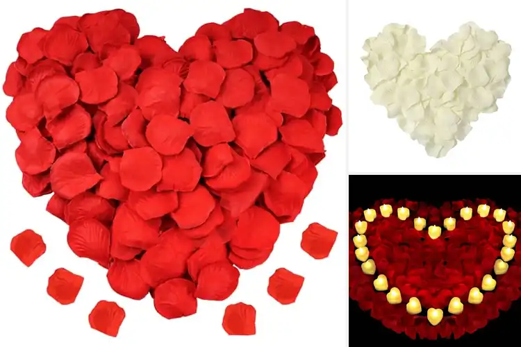 Detailed view of Best Rose Petals Decorations to Transform Any Space