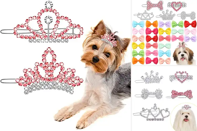 Detailed view of Best Sparkling Dog Hair Accessories