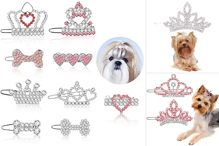 Detailed view of Best Sparkling Tiara Clips For Dogs
