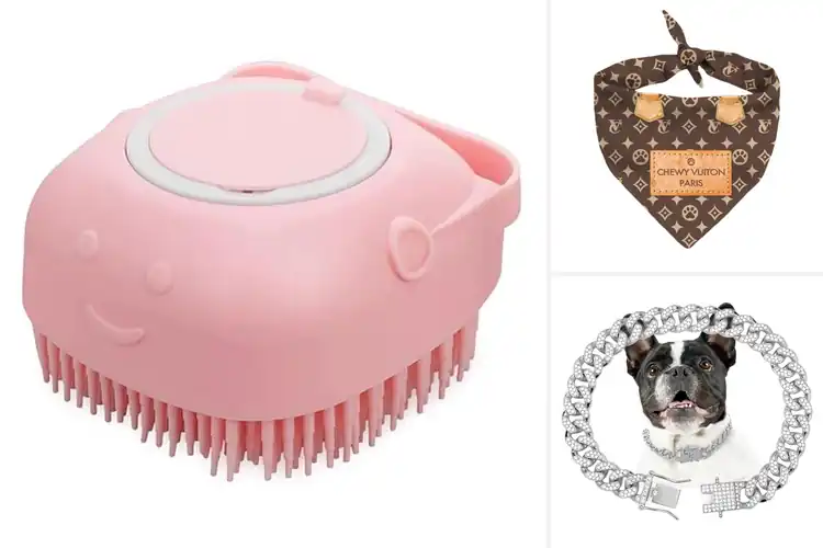 Detailed view of Best Stylish Dog Accessories