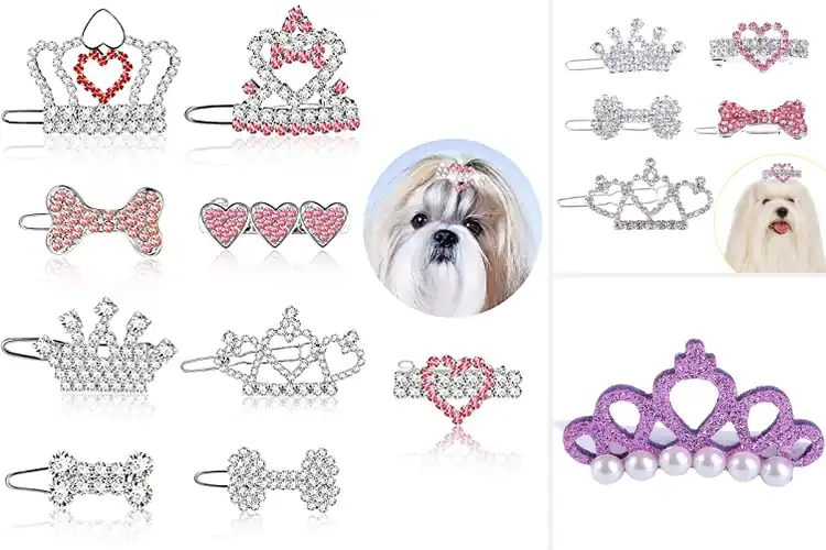 Detailed view of Best Tiara Crown Hair Clips For Pets