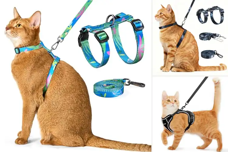 Detailed view of Best Travel Walking Harness